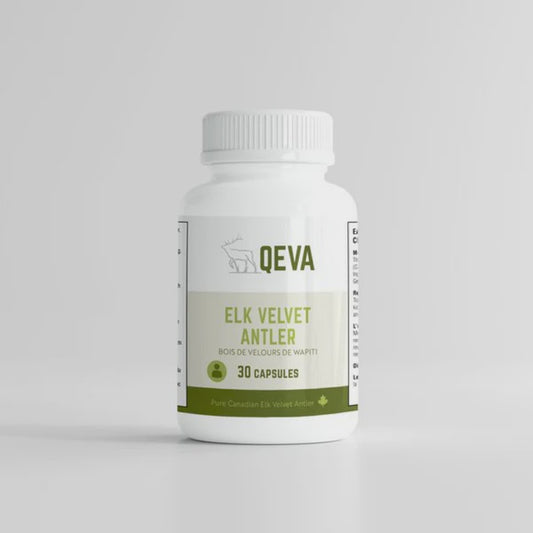 Qeva Elk Velvet Antler