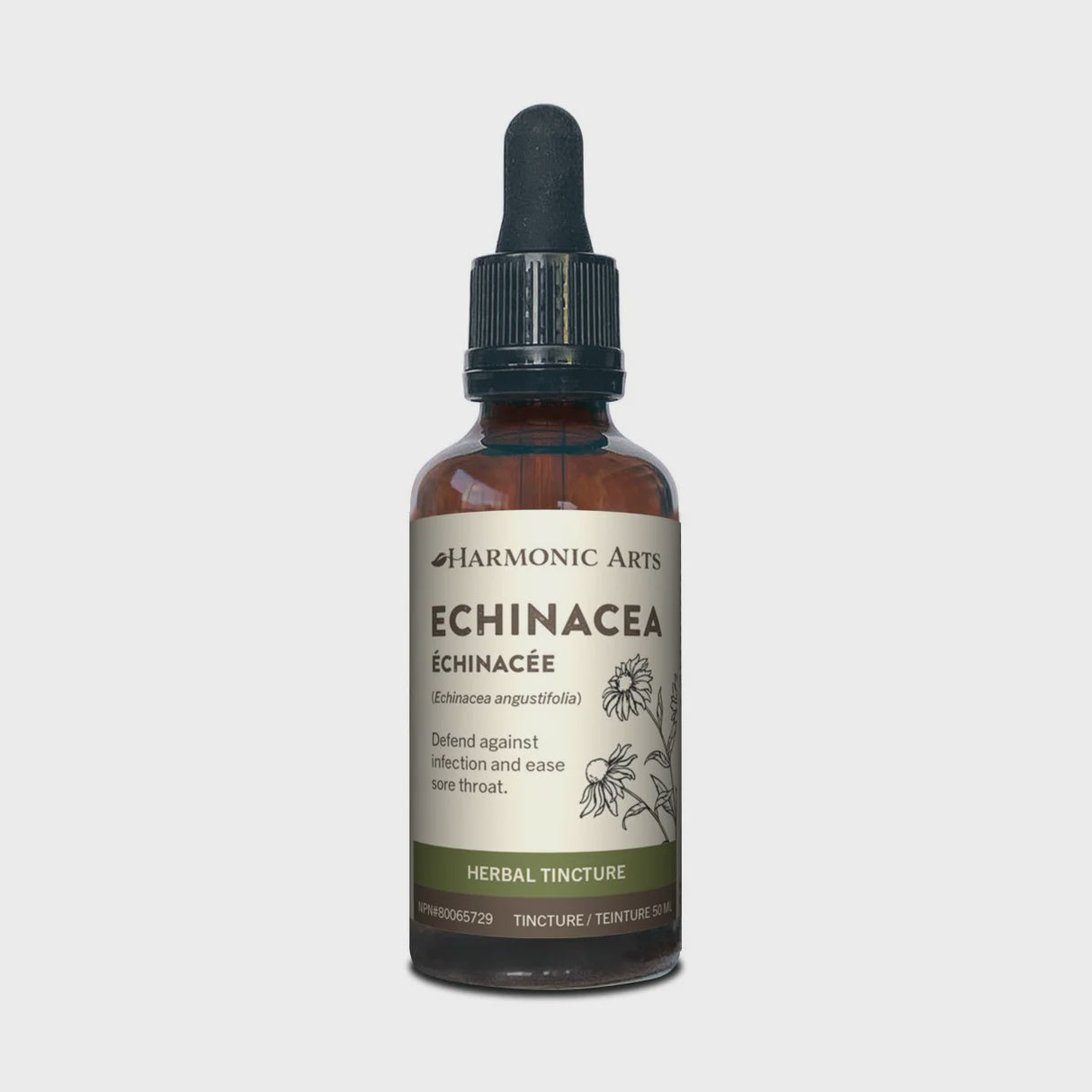 Harmonic Arts Echinacea Root 50ml