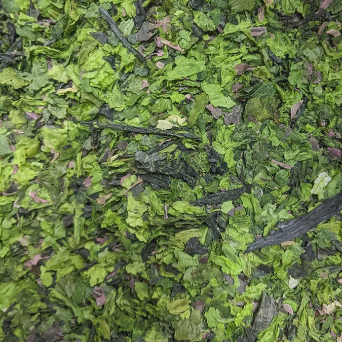 Harmonic Arts Sea Veg Blend