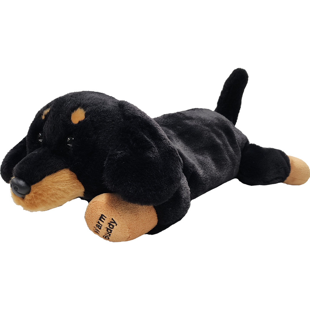 Warm Buddy Dachshund