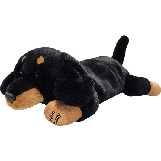 Warm Buddy Dachshund