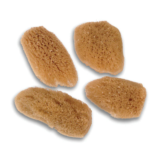 Urban Spa Sea Sponge