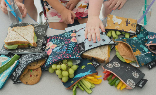 Colibri Snack Bag