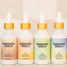 Ananda Elixirs Shroom Soda 60ml